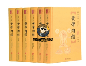 《黄帝内经》 全六册   精注全译版 -山海之花 - 宝藏星球屋