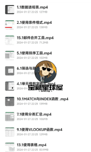 《高效人士的Excel必修课》  简单高效,人见人爱 ,内附课件 -山海之花 - 宝藏星球屋