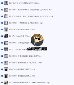 街舞（爵士舞）基本功打卡课   共192节付费课，全是干货，让你少走弯路。 ​​​-山海之花 - 宝藏星球屋