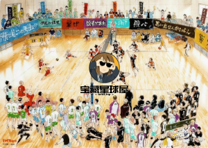《排球少年》第1-4季全+前5部剧场版   日语中字合集汇总  梦开始的地方-山海之花 - 宝藏星球屋