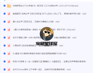 《车载高品质DJ串烧歌曲》  精选共1000多首串烧！开车提神必备！ ​​​-山海之花 - 宝藏星球屋