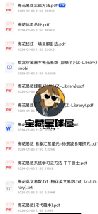 《梅花易数》相关书籍   合集汇总 ​​​-山海之花 - 宝藏星球屋