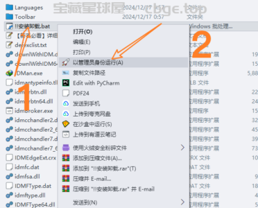 IDM下载器（Internet Download Manager）安装及永久激活教程！-山海之花 - 宝藏星球屋