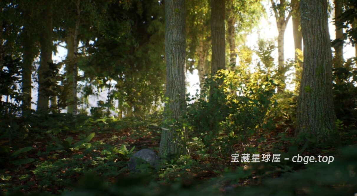 图片[4]-小众猎奇模拟游戏推荐《石头模拟器》Steam 94% 特别好评 零操作解压冥想梗系游戏，扮演岩石放空大脑 上班族解压首选休闲佳作-山海之花 - 宝藏星球屋