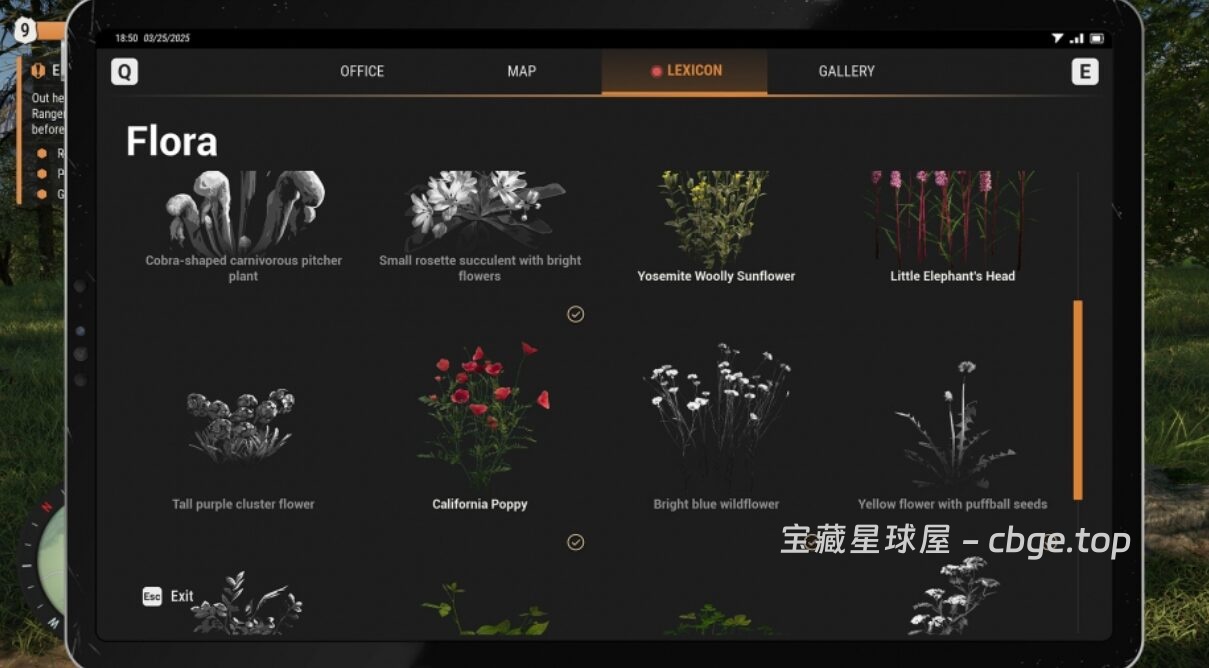 图片[3]-Steam新游《护林员之路：国家公园模拟器》开放世界护林员新体验 在自然的怀抱里，享受治愈的日常-山海之花 - 宝藏星球屋