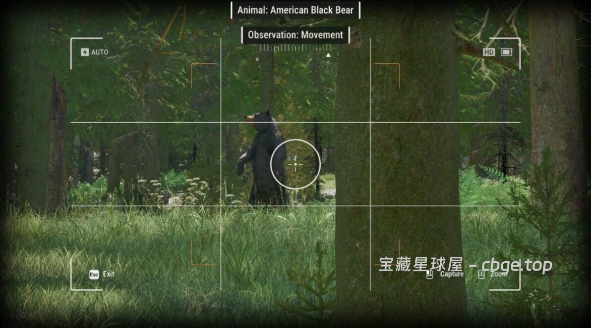 图片[4]-Steam新游《护林员之路：国家公园模拟器》开放世界护林员新体验 在自然的怀抱里，享受治愈的日常-山海之花 - 宝藏星球屋
