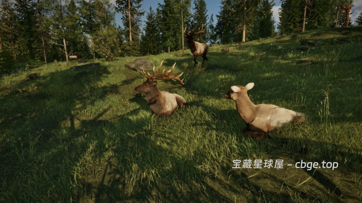图片[7]-Steam新游《护林员之路：国家公园模拟器》开放世界护林员新体验 在自然的怀抱里，享受治愈的日常-山海之花 - 宝藏星球屋
