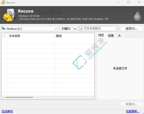Recuva v1.55.133 免费删除文件恢复软件截图