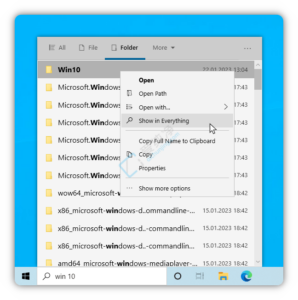 EverythingToolbar v3.0.0 系统任务栏搜索集成插件-山海之花 - 宝藏星球屋