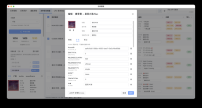 乐库管理：本地音频整理与双库同步辅助工具-山海之花 - 宝藏星球屋