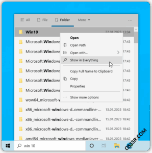EverythingToolbar 3.0.1：将 Everything 搜索集-山海之花 - 宝藏星球屋