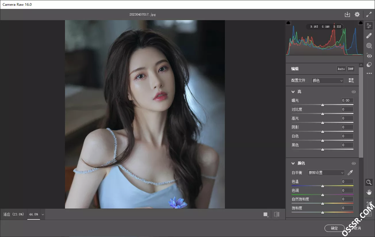 Adobe Camera Raw 18.5 图像处理：专业级 RAW 格式照片编-山海之花 - 宝藏星球屋