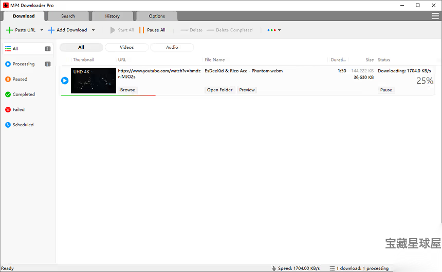 MP4 Downloader Pro 6.4.11 便携安装版：一站式视频下载与 截图