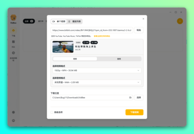 VidBee 视频下载工具：跨平台聚合下载与自动同步助手-山海之花 - 宝藏星球屋