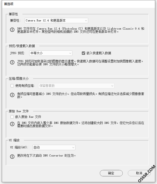 Adobe DNG Converter 18.5 最新版：一站式原始照片格式转换 截图