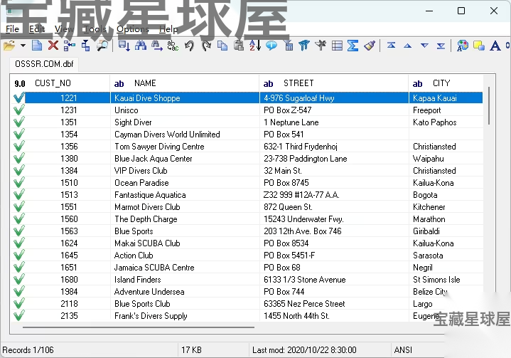 DBF Viewer 2000 便携版：高效查看与编辑 DBF 数据库文件的实用 截图