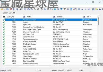 DBF Viewer 2000 便携版：高效查看与编辑 DBF 数据库文件的实用-山海之花 - 宝藏星球屋