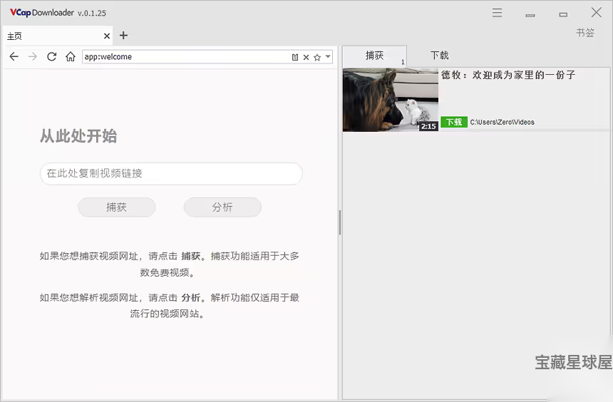 VCap Downloader 便携版：多平台视频下载与格式转换工具 截图
