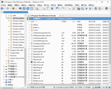 XYplorer 28.30.1600 绿色版：强化Windows文件管理与多标-山海之花 - 宝藏星球屋