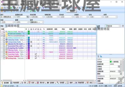 ToDoList 9.2.4.0 绿色版：任务规划与项目进度追踪管理工具-山海之花 - 宝藏星球屋