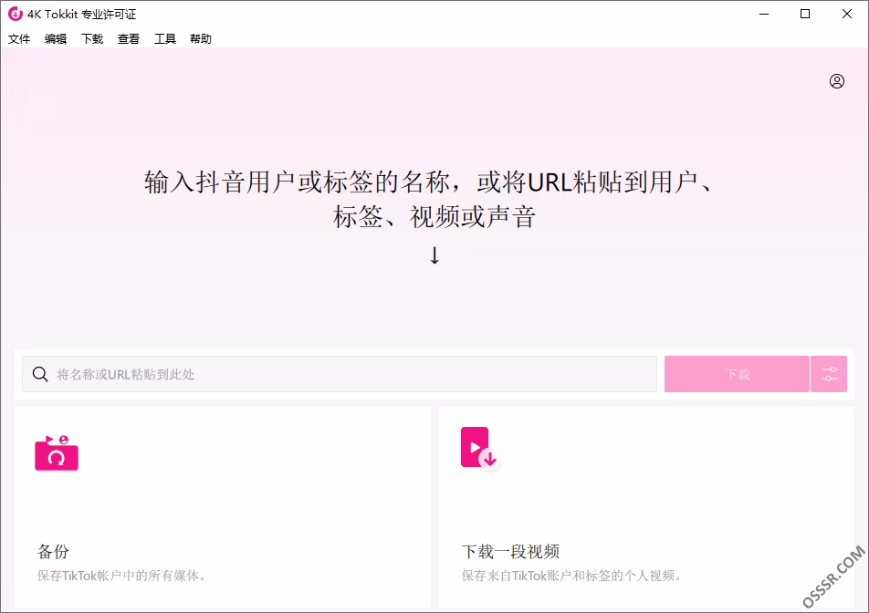 4K Tokkit 视频下载工具：批量获取 TikTok 无水印内容与音乐字幕 截图