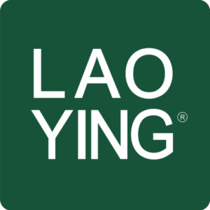 LaoYing Toolkit v1.09 游戏进程CPU大小核调度工具，支持进程管理、核心布局-山海之花 - 宝藏星球屋
