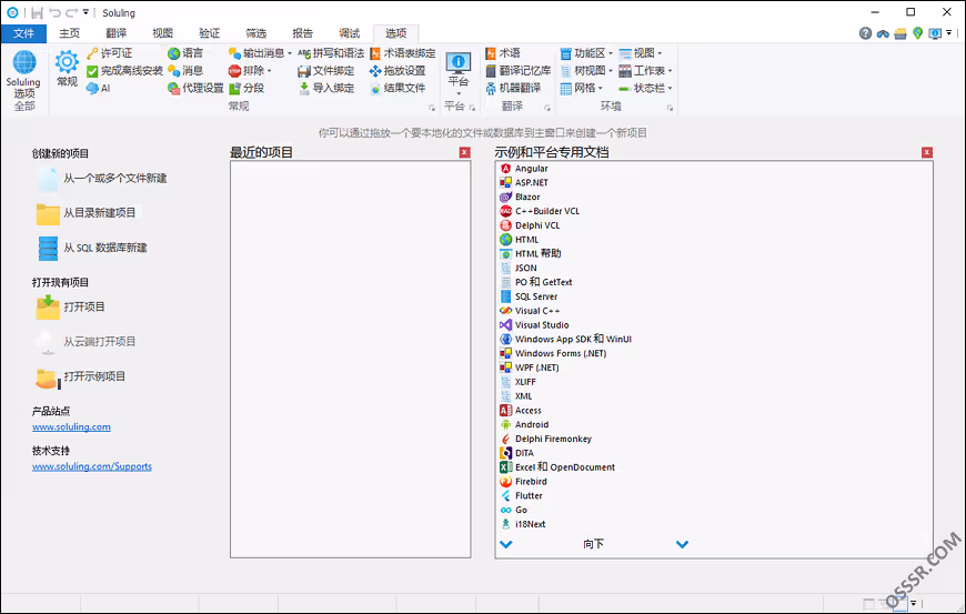 Soluling 1.0.1106 中文汉化版：专业软件本地化与多语言翻译管理工 截图