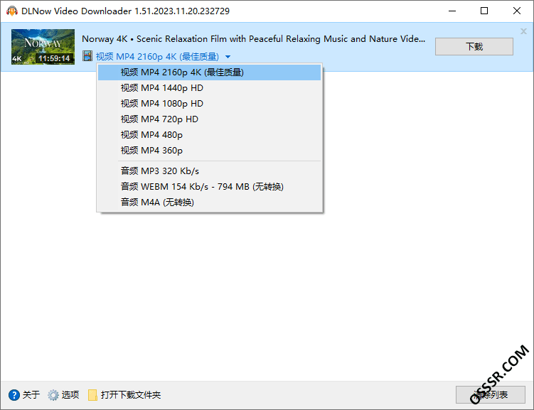 DLNow Video Downloader 1.54 便携版:多平台视频下载与 截图