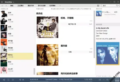 MusicBee 便携版：本地音乐库管理与高音质播放工具-山海之花 - 宝藏星球屋