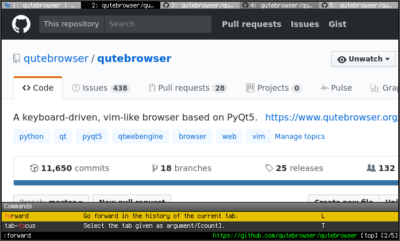 QuteBrowser 键盘驱动浏览器：为高效率用户打造的极简上网工具-山海之花 - 宝藏星球屋