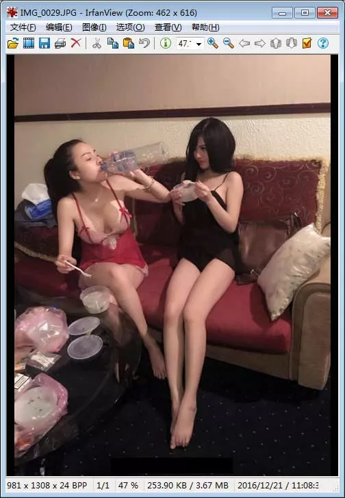 IrfanView 4.75 图像浏览器:轻量级看图与格式转换工具-山海之花 - 宝藏星球屋