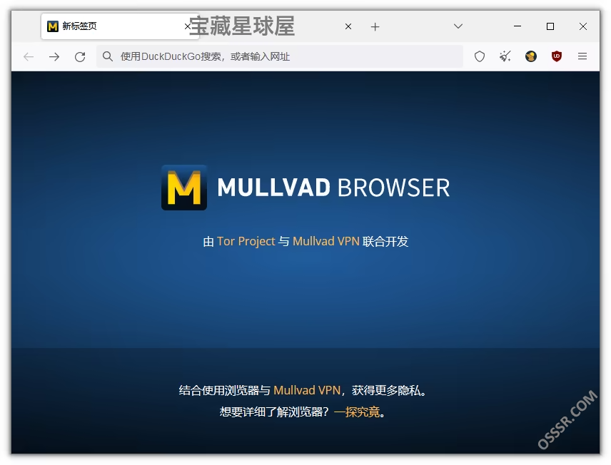 Mullvad Browser 15.0.4:为日常浏览提供强隐私保护的专用浏览 截图