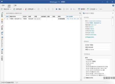 Metatogger 7.7.0.0 便携版：音频标签批量编辑与音乐库整理工具-山海之花 - 宝藏星球屋