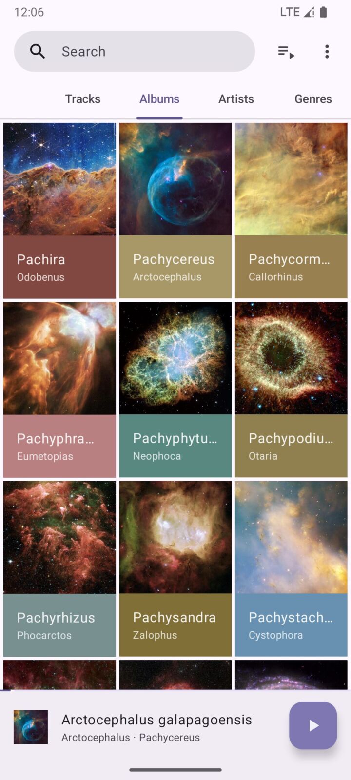 Phocid 免费开源本地音乐播放器：纯净聆听与智能排序的实用之选 截图