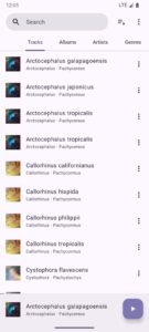 Phocid 免费开源本地音乐播放器：纯净聆听与智能排序的实用之选-山海之花 - 宝藏星球屋