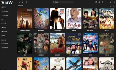 VidW 本地视频管理工具：打造私人影视海报墙与影片库-山海之花 - 宝藏星球屋