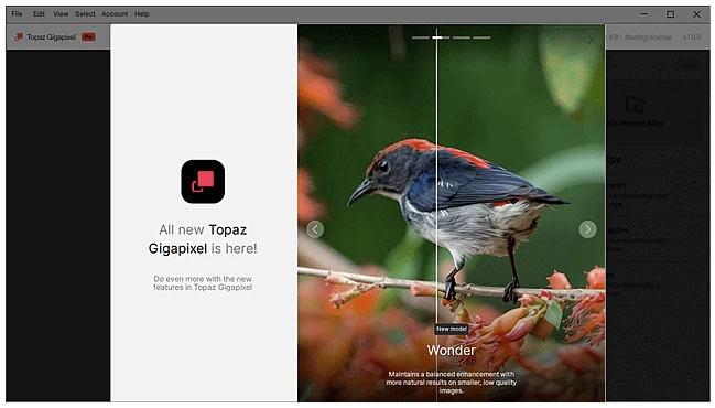 Topaz Gigapixel Pro 图像超分辨率软件：AI 放大图片细节与画 截图