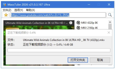 MassTube Ultra YouTube视频下载工具：便捷抓取YouTube-山海之花 - 宝藏星球屋