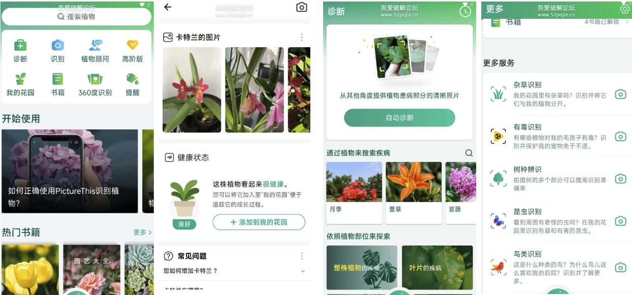 PictureThis 植物识别：精准拍照识花与养护指导工具 截图
