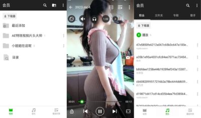 XPlayer v2.8.0 万能视频播放器：满足多格式播放需求的专业工具-山海之花 - 宝藏星球屋