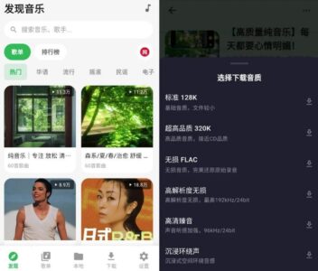 薄荷音乐 v1.0.0 清爽版:聚合六大平台资源,畅听无损音乐-山海之花 - 宝藏星球屋