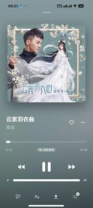 Sollin Player 跨平台音乐播放器：界面简洁、体验沉浸的本地音乐播放方-山海之花 - 宝藏星球屋