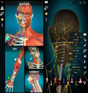 Anatomy Learning 3D解剖学图谱：医学生与临床工作者的三维解剖学-山海之花 - 宝藏星球屋