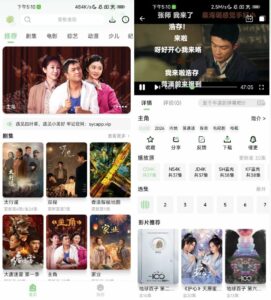 四叶草播放器:影视聚合与纯净观影辅助工具-山海之花 - 宝藏星球屋