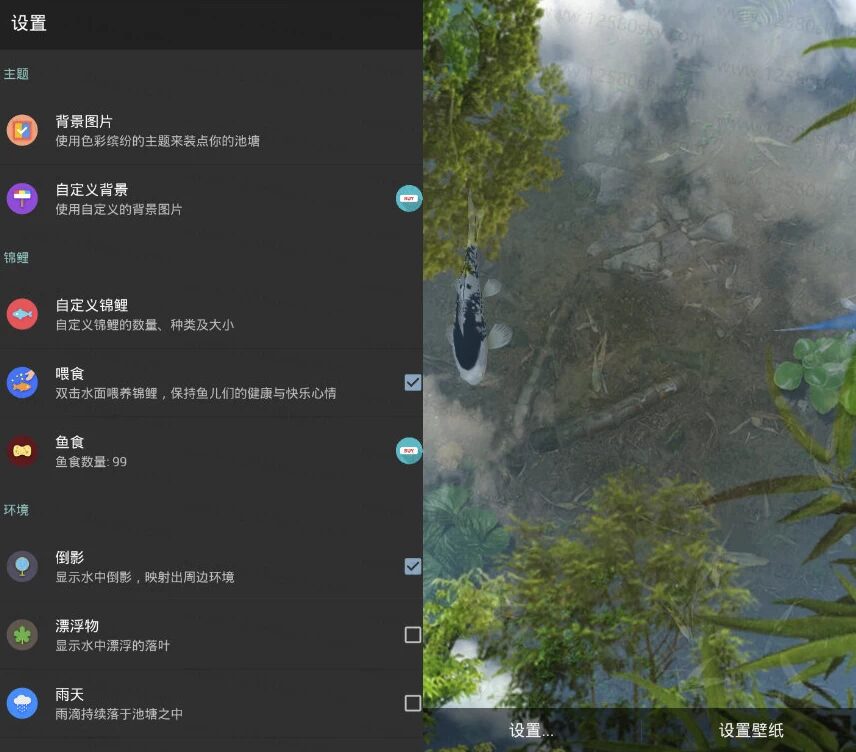 Water Garden 鱼池：在桌面养一汪逼真锦鲤的动效壁纸 截图