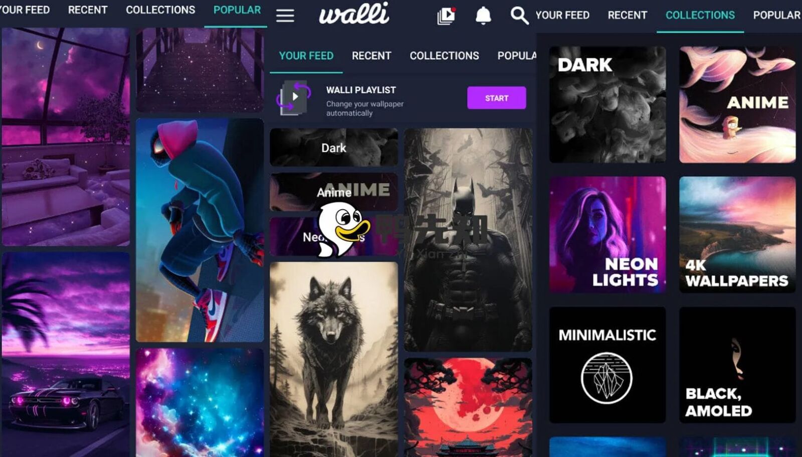 Walli 4K壁纸合集:汇聚全球艺术家的原创高清壁纸 截图