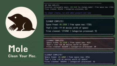 Mole 垃圾清理工具：开源轻量，帮你深度清理 macOS 空间-山海之花 - 宝藏星球屋
