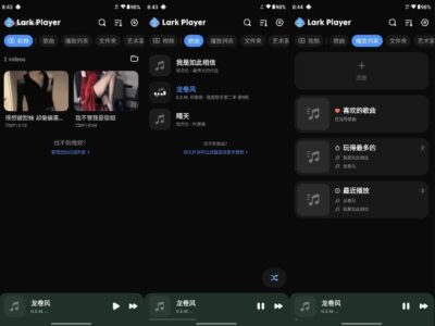 Lark Player 云雀播放器:本地音乐与视频播放的轻量级选择-山海之花 - 宝藏星球屋