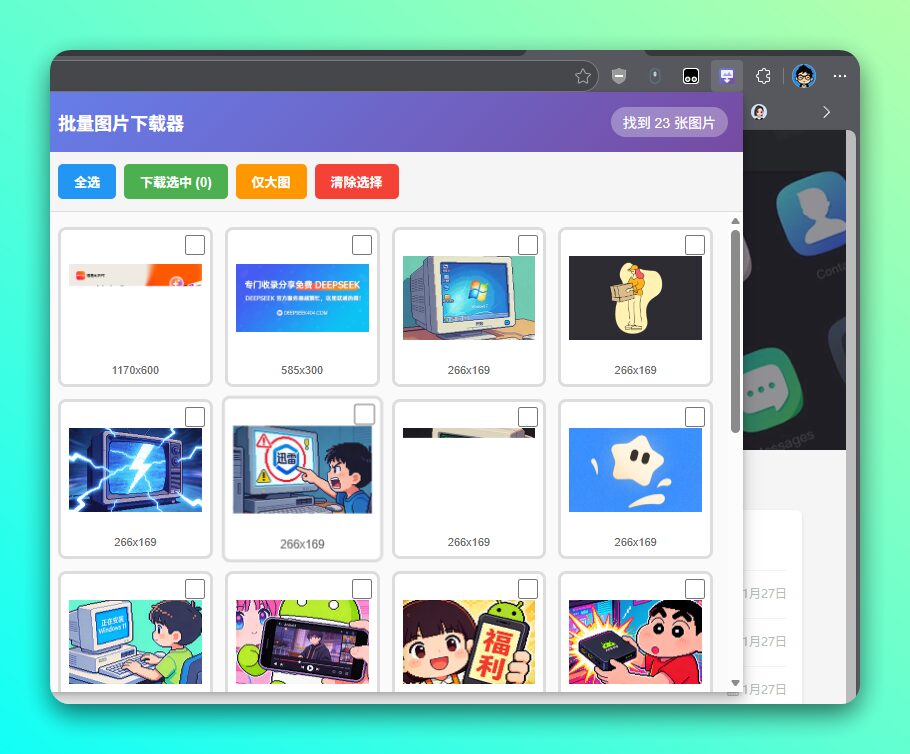 Batch Image Downloader 批量图片下载工具：一键抓取网页图片-山海之花 - 宝藏星球屋