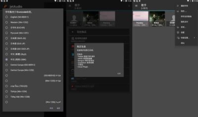 jetAudio v13.1.2 音乐播放器：专业音效增强与全格式解码播放-山海之花 - 宝藏星球屋